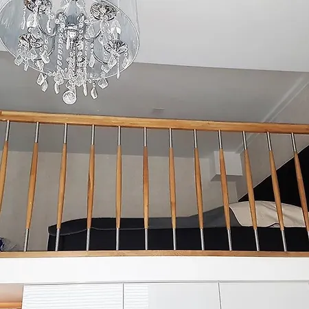 Magnolia Przy Morzu 米兹多洛杰