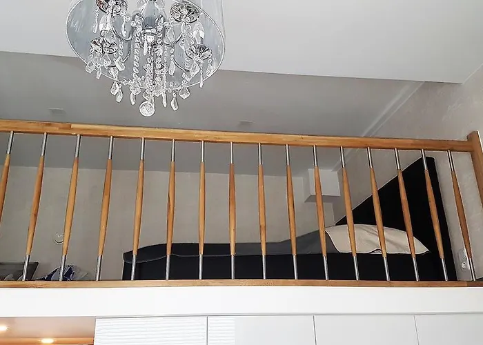 Magnolia Przy Morzu 米兹多洛杰